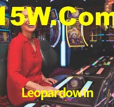 Leopardowin App Interface